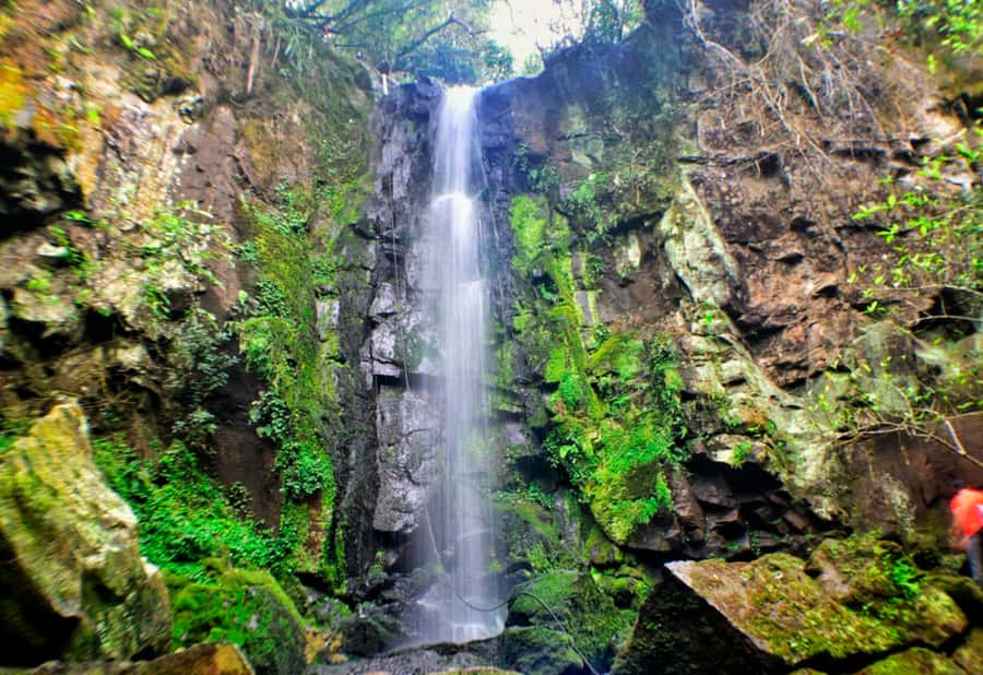 From Foz do Iguaçu: Secret Falls Adventure - Secret Falls at Iguazu, the kind of day that feels personal