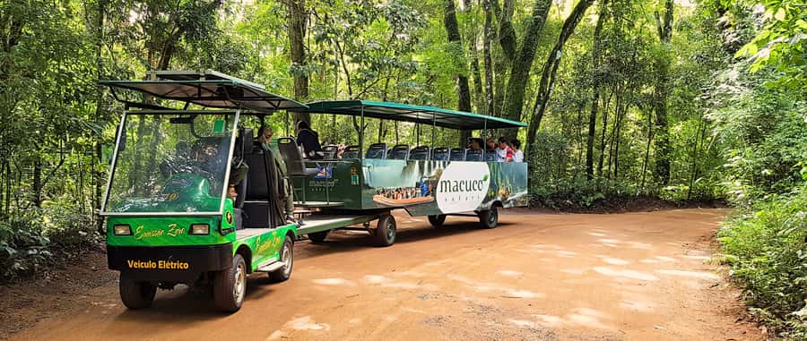 From Foz do Iguazu: Brazil Iguazu Falls & Macuco Safari Boat - Airboat ride and walking: why the Macuco Safari feels more than a one-trick pony