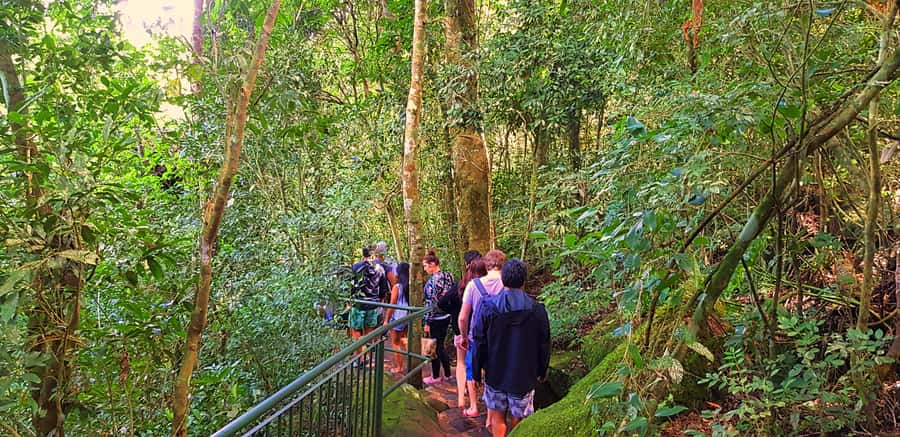 From Foz do Iguazu: Brazil Iguazu Falls & Macuco Safari Boat - Guides and group size: what small groups change in real life