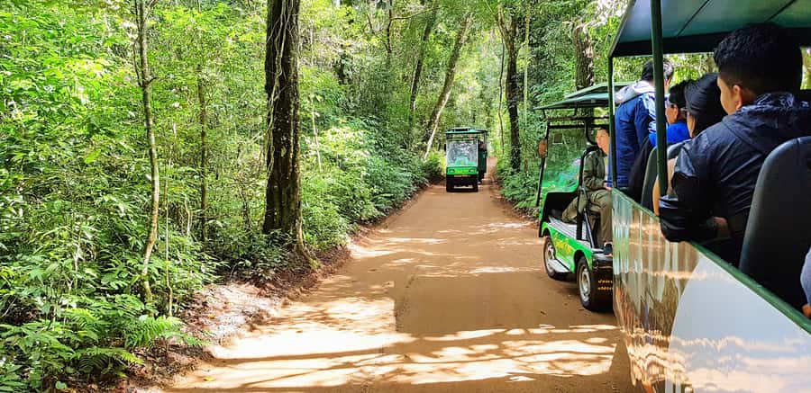 From Foz do Iguazu: Brazil Iguazu Falls & Macuco Safari Boat - What to bring: your day depends on one dry decision
