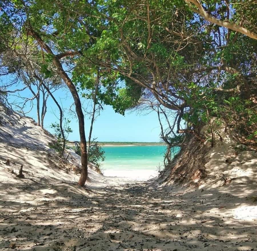 From Jericoacoara: Preá Beach and Paradise Lagoon Tour - Caiçara Blue Hole: turquoise water and a rainwater story