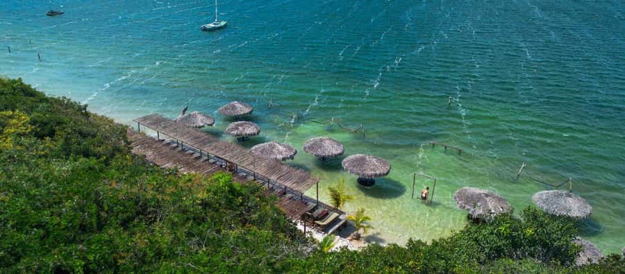 From Jericoacoara: Preá Beach and Paradise Lagoon Tour - The forest walk to Lagoa do Paraíso