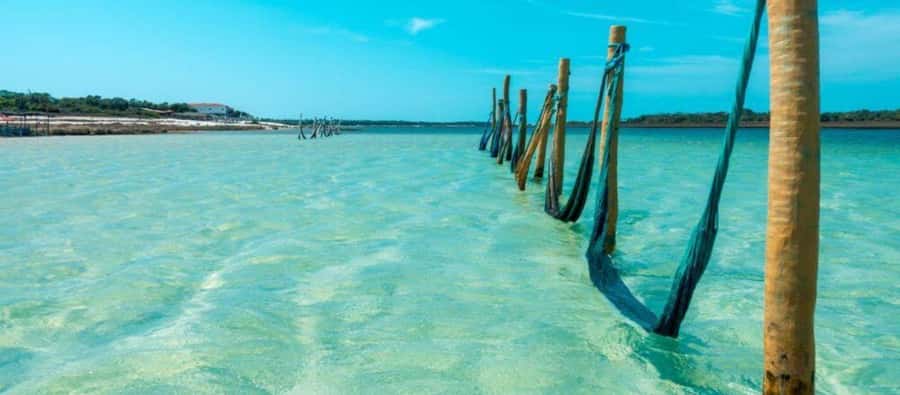 From Jericoacoara: Preá Beach and Paradise Lagoon Tour - Hammocks, Preá beach photos, and making the day look effortless