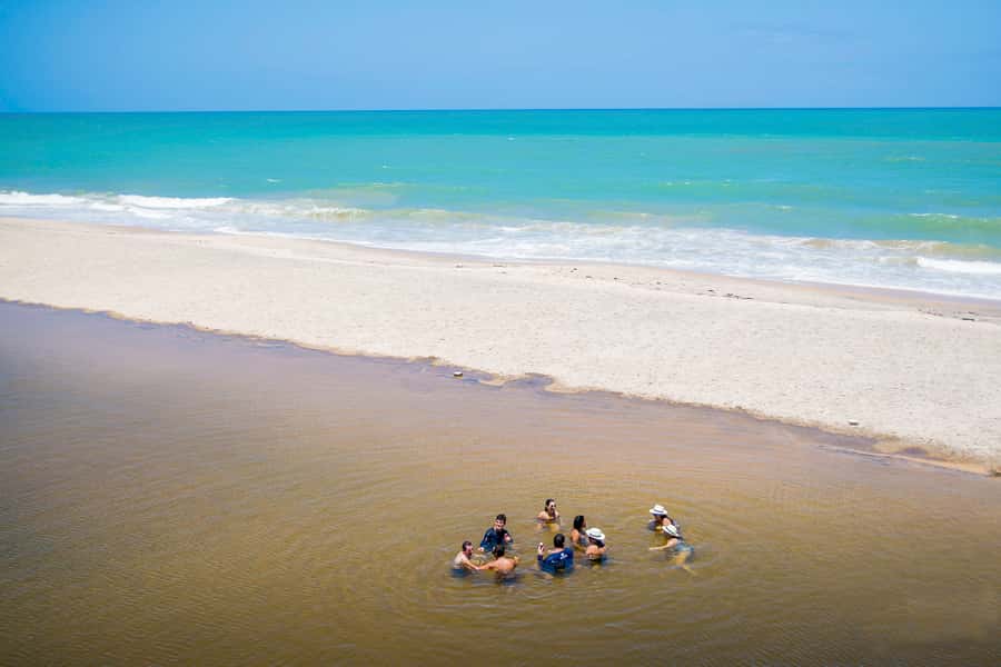 From João Pessoa: Full-Day Southern Coast Beaches Tour - Key Highlights Worth Your Time