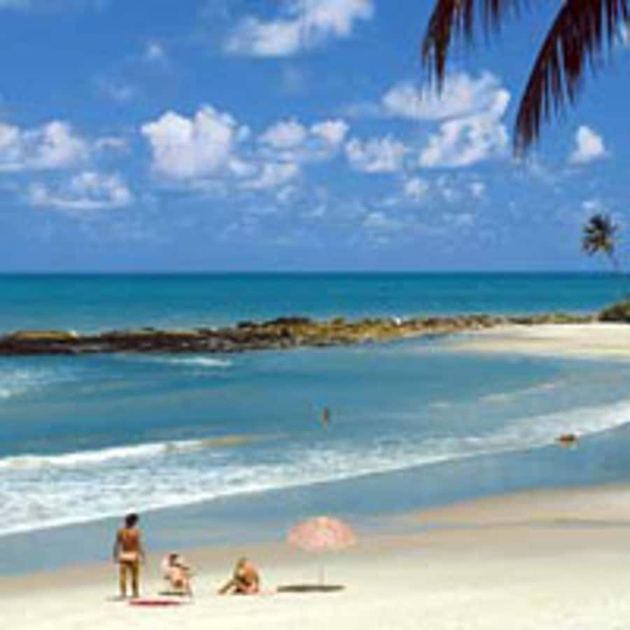 From João Pessoa: Full-Day Southern Coast Beaches Tour - Price and Logistics: Is $177 a Good Deal Here?