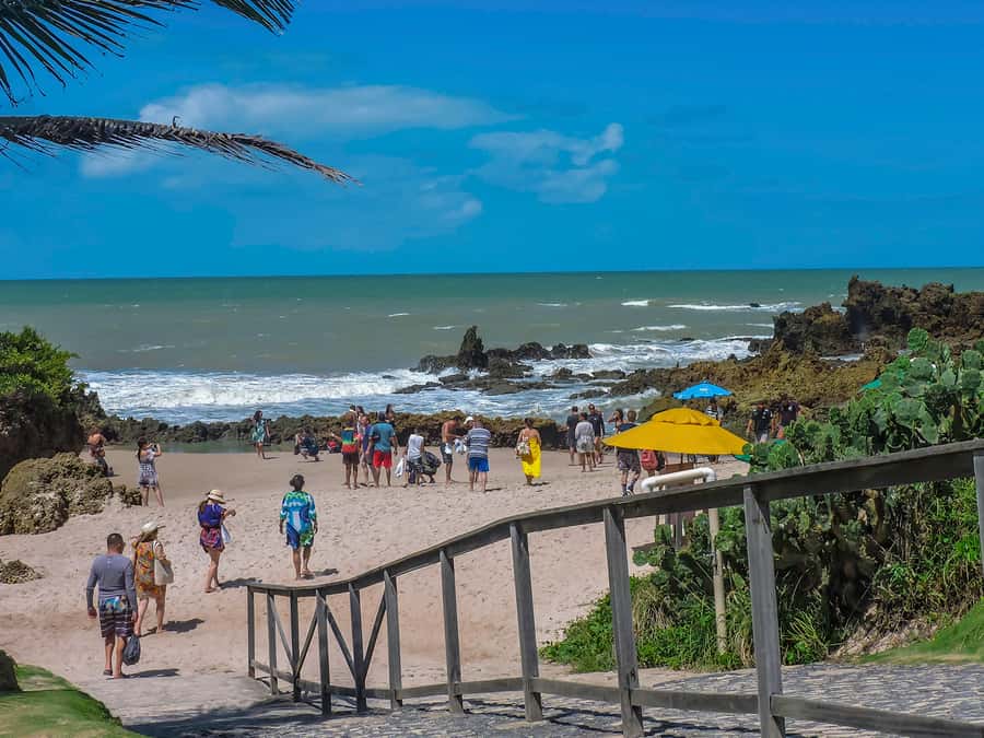 From João Pessoa: Full-Day Southern Coast Beaches Tour - Tambaba Beach: Guided Context and Free Time for the Coast