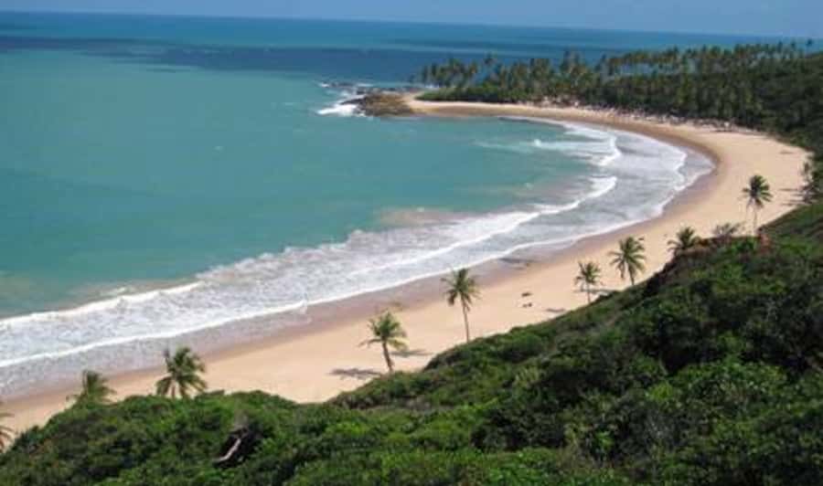 From João Pessoa: Full-Day Southern Coast Beaches Tour - Sandstone Cliff Walking: Wear the Shoes You Packed
