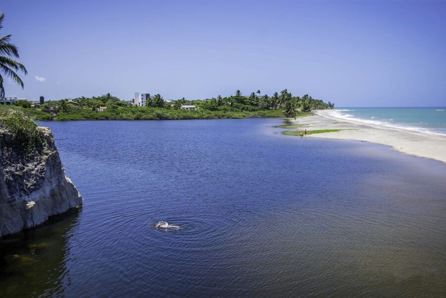 From João Pessoa: Full-Day Southern Coast Beaches Tour - Guide Quality in Real Life: When Language Matching Matters