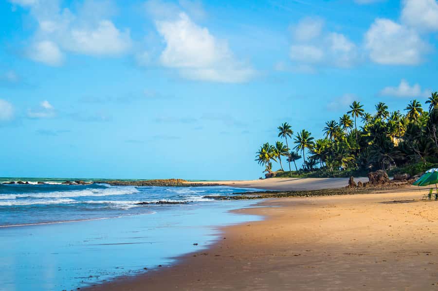 From João Pessoa: Full-Day Southern Coast Beaches Tour - Hotel Pickup Around 7:30AM: Timing That Keeps the Coast Calmer