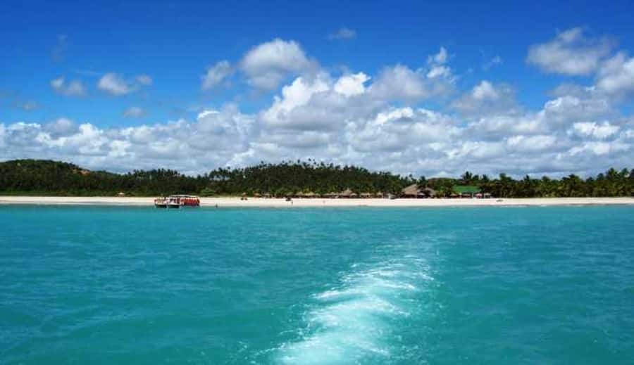 From Maceio: Gunga Beach & Full-Day Tour - Key takeaways before you go