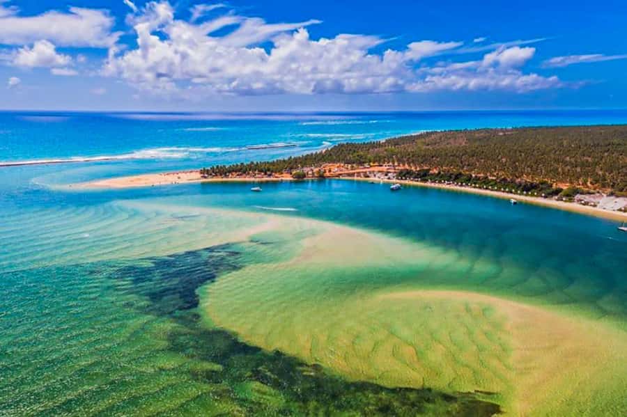 From Maceio: Gunga Beach & Full-Day Tour - Price and what “included” really means for your money
