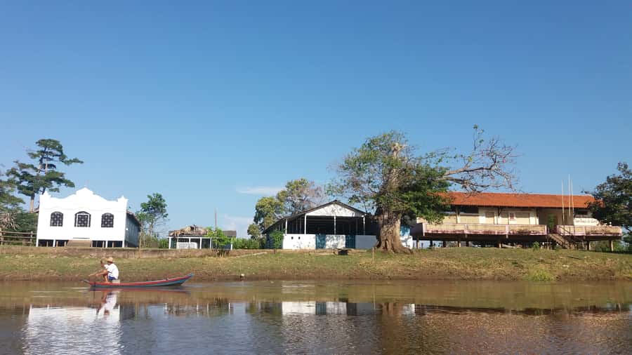 From Manaus: 3 or 4-Day Rio Negro & Anavilhanas River Cruise - Day 1 on the Rio Negro: Janauri Ecological Park, alligators, and dolphin swimming
