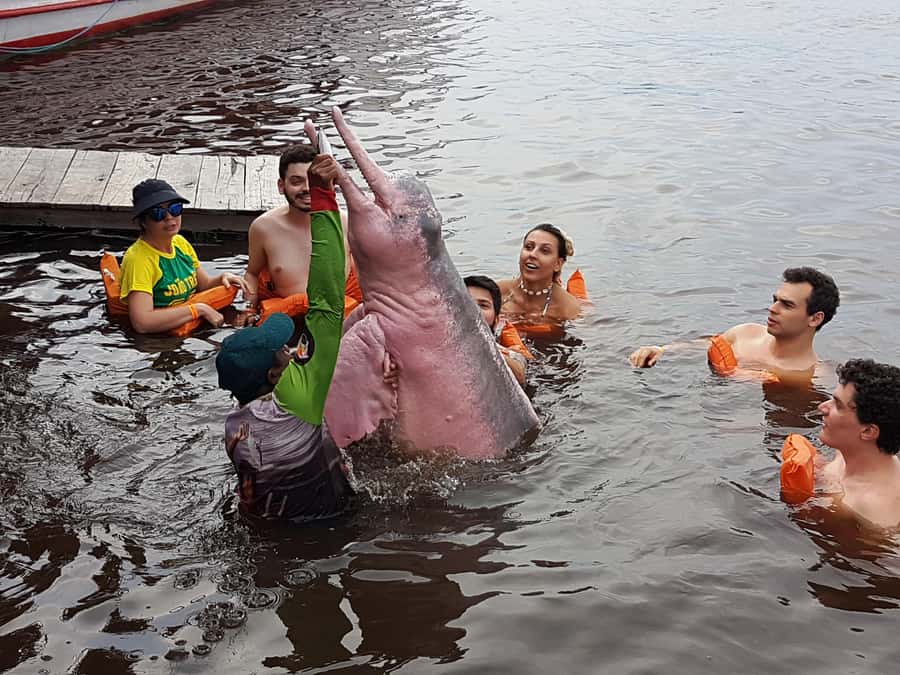 From Manaus: 3 or 4-Day Rio Negro & Anavilhanas River Cruise - Day 3 choices: manioc with a native family or canoe wildlife plus survival skills