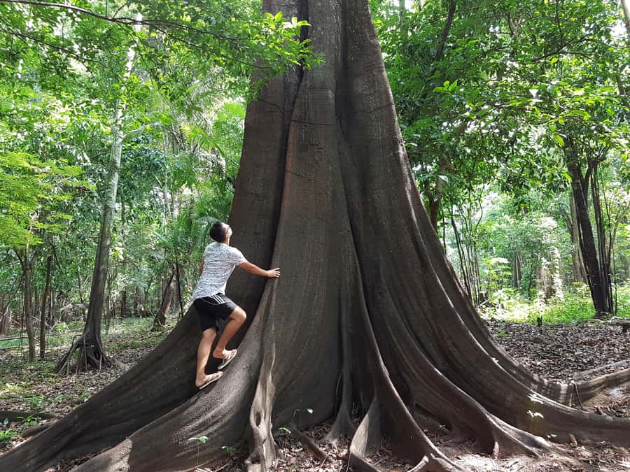 From Manaus: 3 or 4-Day Rio Negro & Anavilhanas River Cruise - Guides make the difference: what to look for and why it matters