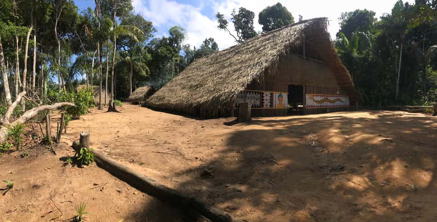 From Manaus: Negro River Half-Day Trip - Who This Tour Fits Best