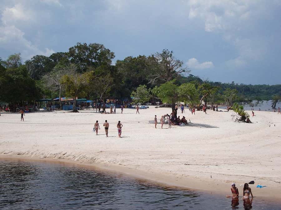 From Manaus: Negro River Half-Day Trip - White-Sand River Beach: Warm Water Break Time