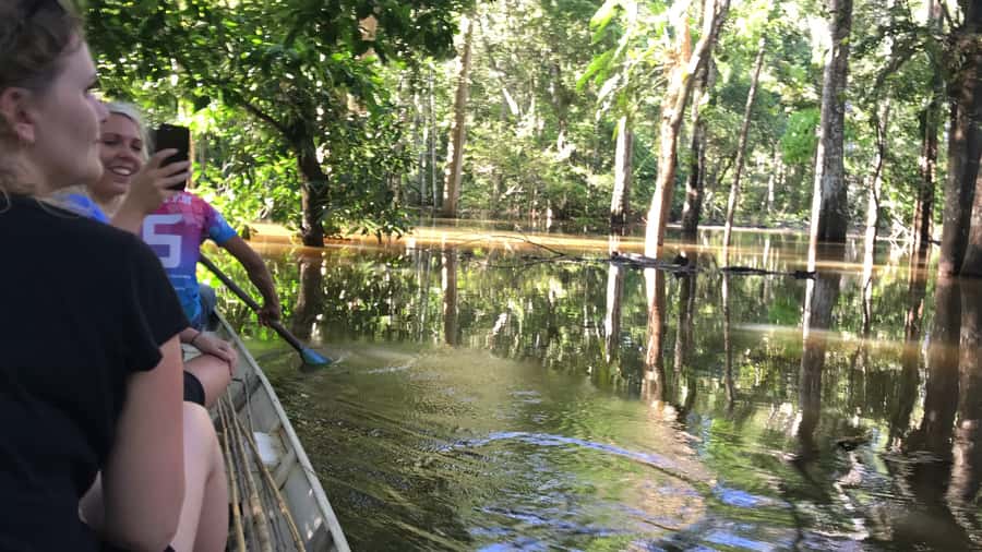 From Manaus: One-Day Amazon Jungle Experience - Quick Amazon Jungle Takeaways