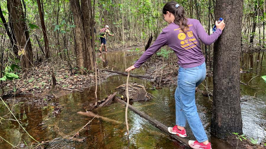 From Manaus: One-Day Amazon Jungle Experience - A 12-Hour Amazon Day Trip from Manaus: What Your Schedule Really Feels Like