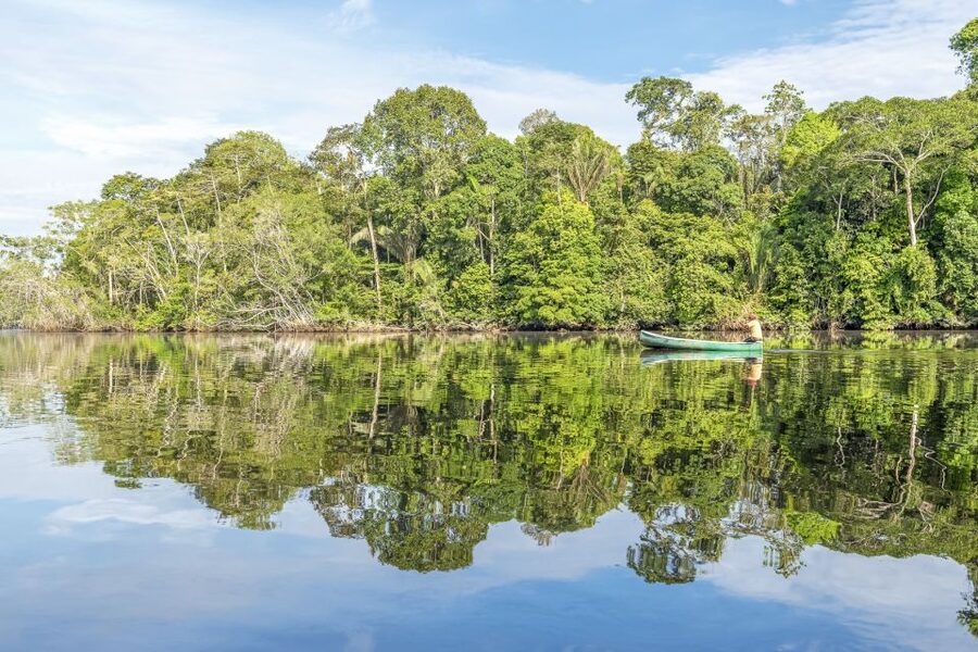 From Manaus: One-Day Amazon Jungle Experience - Night Ride for Alligators and Nocturnal Wildlife: The Amazon After Dark