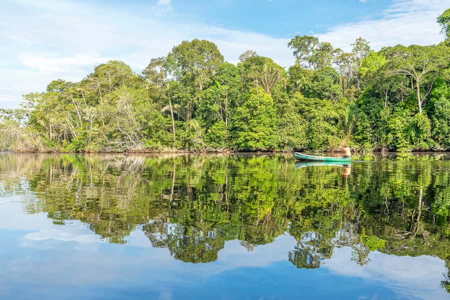 From Manaus: One-Day Amazon Jungle Experience - Season Changes and What to Pack So You Stay Comfortable