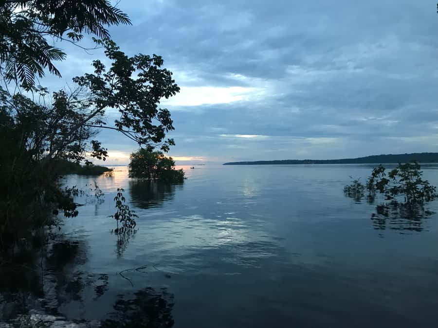 From Manaus: One-Day Amazon Jungle Experience - Morning Pickup to Castanho Lake, Then Into the Jungle Trek