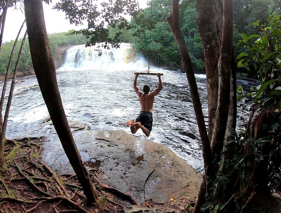 From Manaus: Presidente Figueiredo Waterfalls Daytrip - Gruta do Refugio: walking a cave full of wildlife