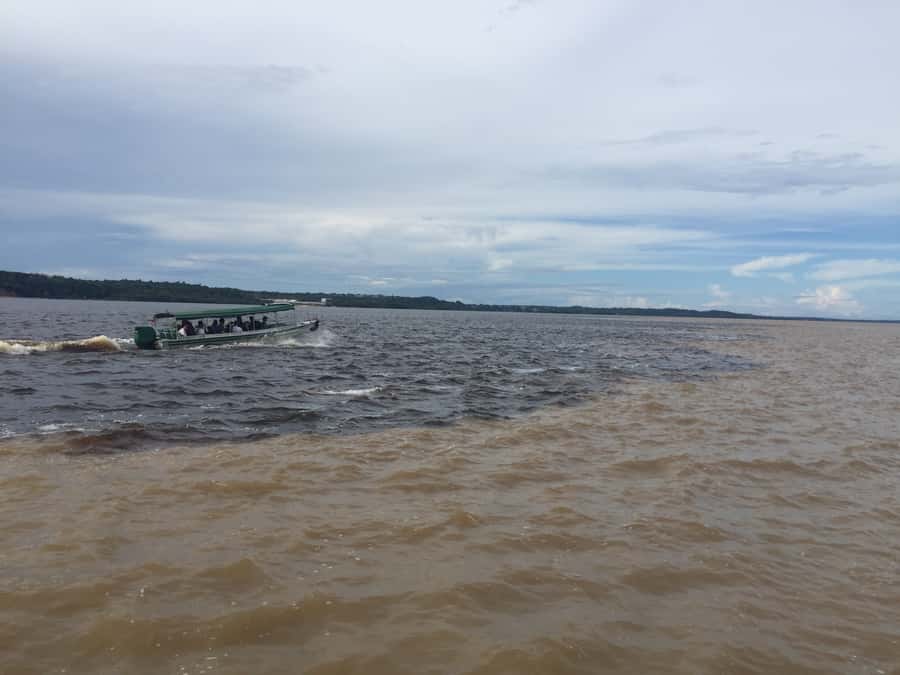 From Manuas: Full-Day River Tour - Price and Value: What You’re Paying For in a $100 to $200 Reality