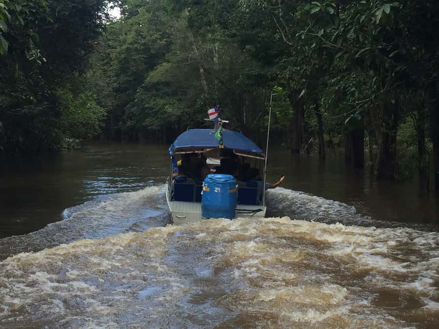 From Manuas: Full-Day River Tour - Lake Water Lilies, Flooded Forest Ride, and Photo Opportunities