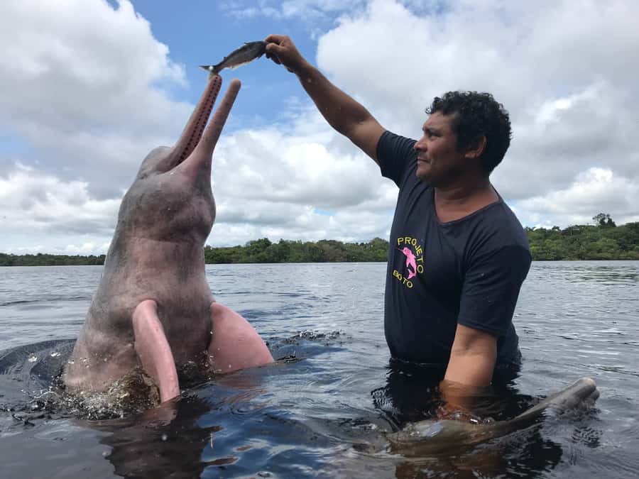 From Manuas: Full-Day River Tour - Guide Impact: Why Denis, David, and Leonardo Matter