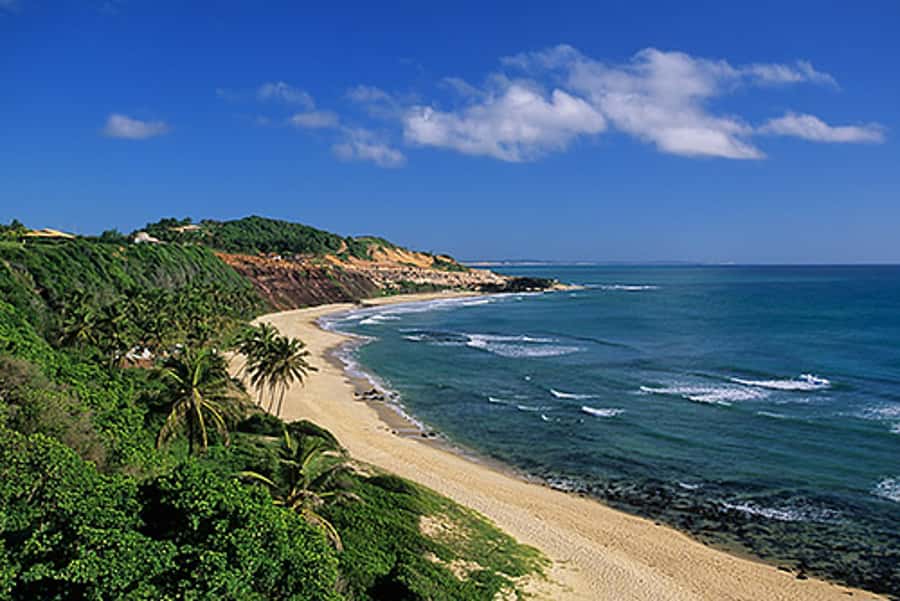 From Natal: Pipa, Cacimbinhas, And Love Beach Full-Day Tour - Pipa in one day: cliffs, Mata Atlântica, and Atlantic views