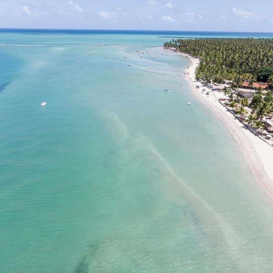 From Recife : Carneiros Beach - Why Praia dos Carneiros is worth the road trip from Recife