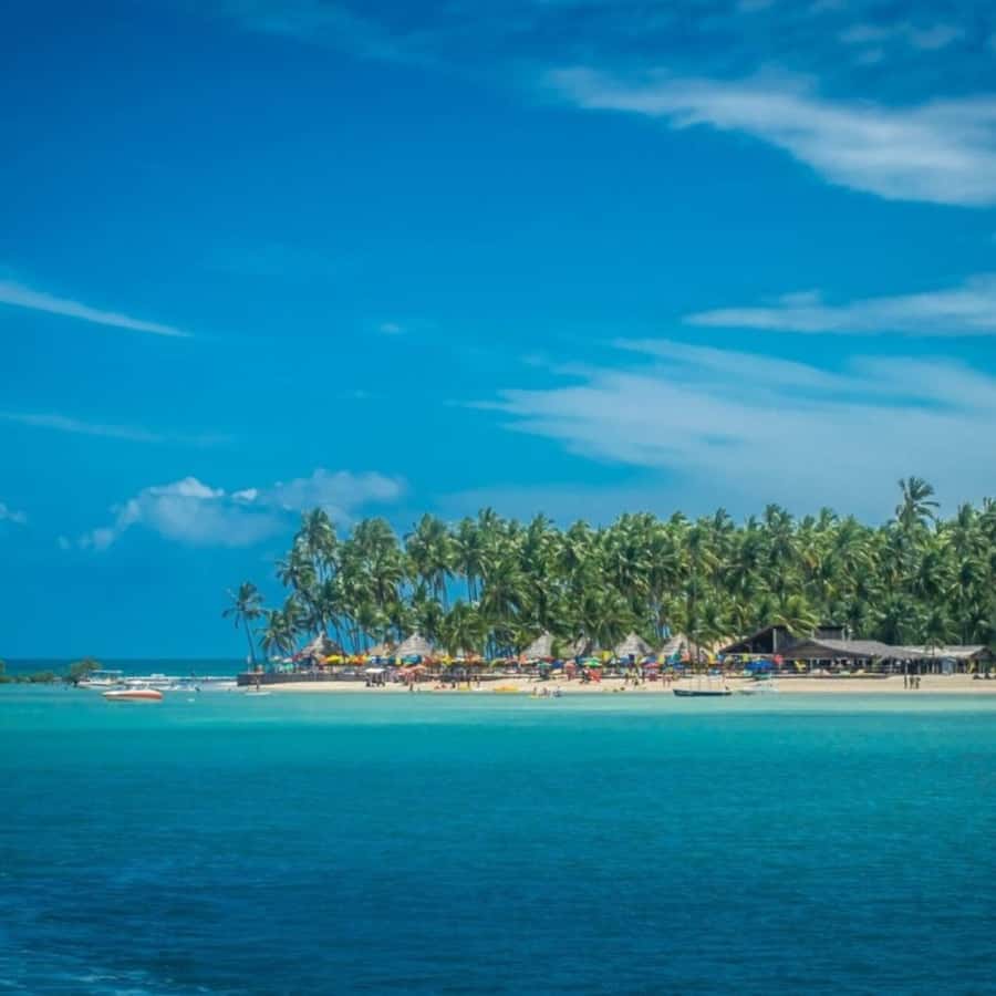 From Recife : Carneiros Beach - Arrival at the beach: what your day actually looks like