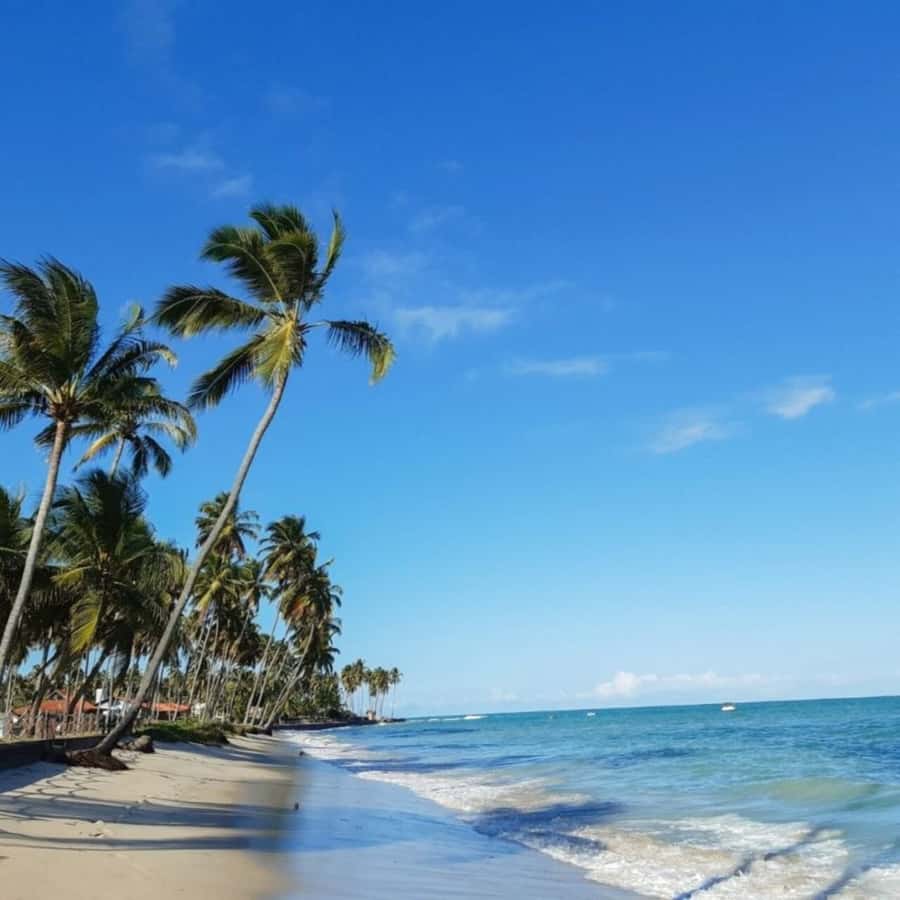 From Recife : Carneiros Beach - The pickup reality from Boa Viagem and Piedade