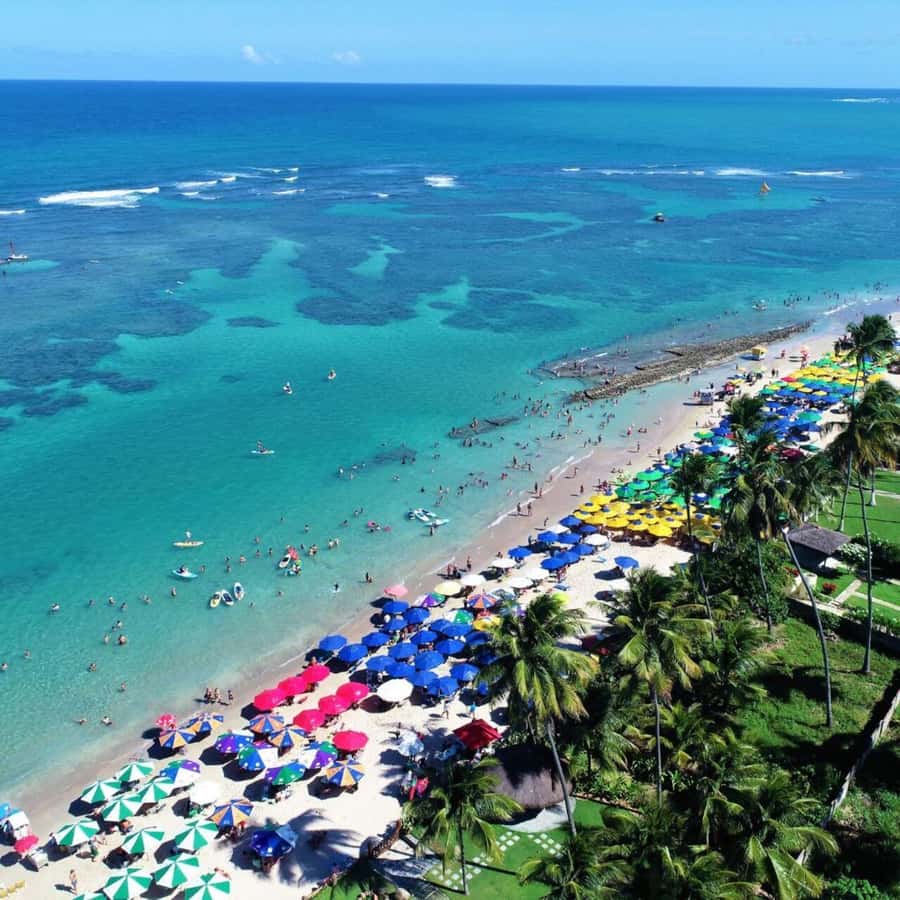 From Recife : Tour for Porto de Galinhas - Quick highlights before you go