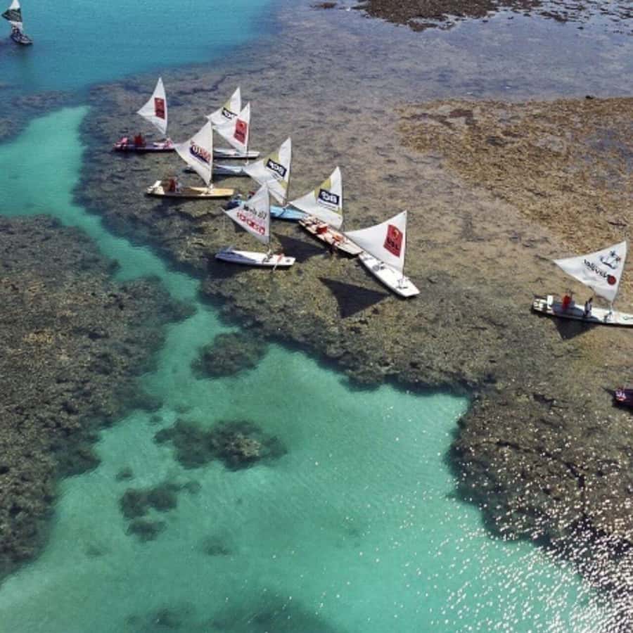 From Recife : Tour for Porto de Galinhas - Optional buggy beach loop: great for views, not a snorkeling guarantee