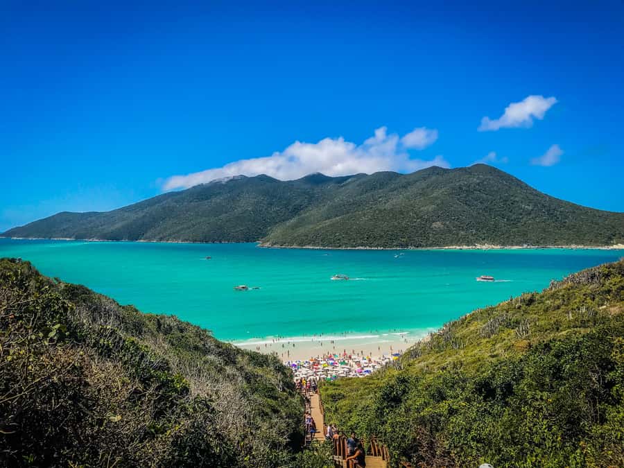 From Rio: Arraial do Cabo Day Trip with Boat Tour - Key things I’d pay attention to