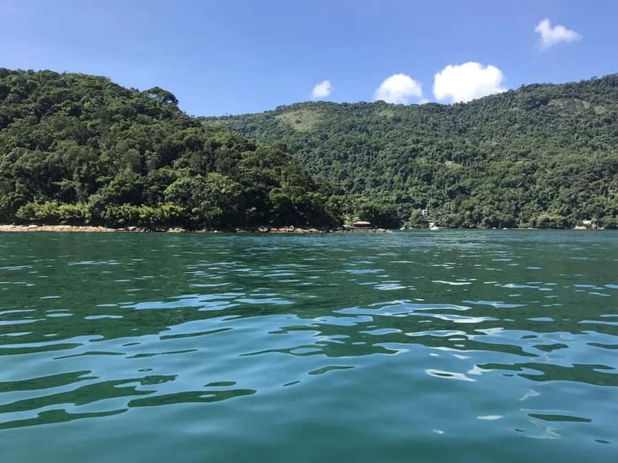 From Rio de Janeiro: Angra dos Reis & Ilha Grande Day Tour - Snorkeling and marine life: what to expect in real time