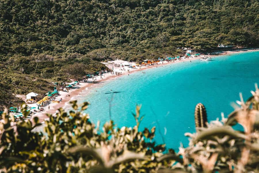 From Rio de Janeiro: Arraial do Cabo Island Day Trip - A practical booking checklist before you commit
