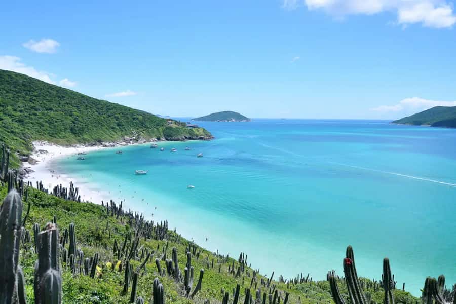 From Rio de Janeiro: Arraial do Cabo Island Day Trip - Why Arraial do Cabo feels like the Brazilian Caribbean
