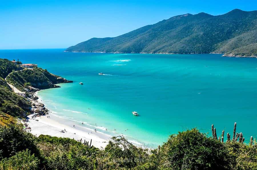 From Rio de Janeiro: Arraial do Cabo Island Day Trip - On the water: what the boat tour is like