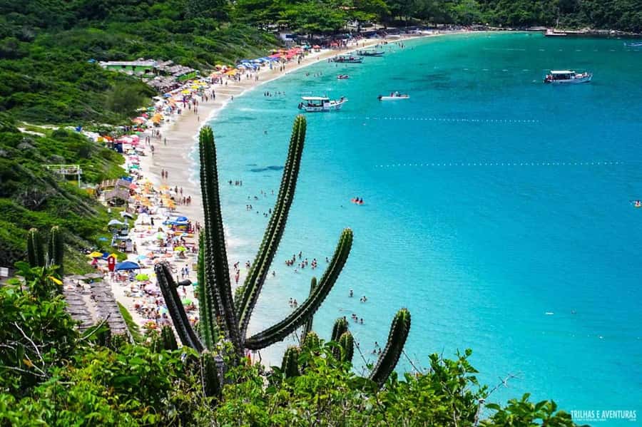 From Rio de Janeiro: Arraial do Cabo Island Day Trip - Land stops that actually matter: Forno, Farol, Blue Grotto, and Fenda