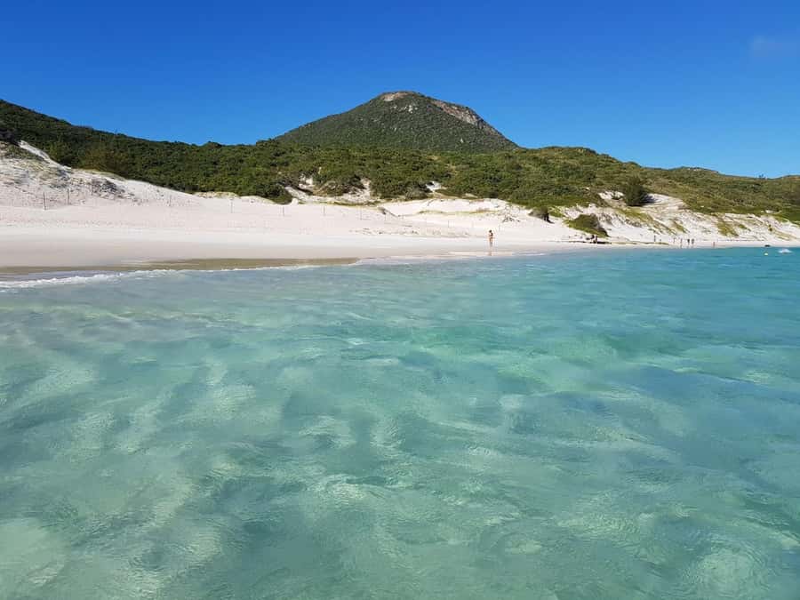From Rio de Janeiro: Arraial do Cabo Island Day Trip - Price and value: what the $67 really buys