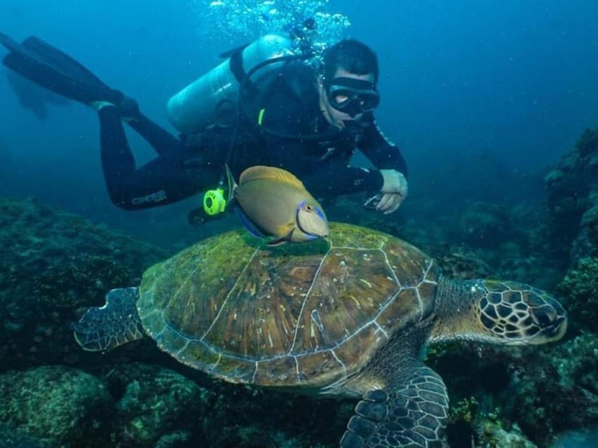 from Rio de Janeiro: Diving in Buzios - Price and logistics: what $150 covers, and what can add up