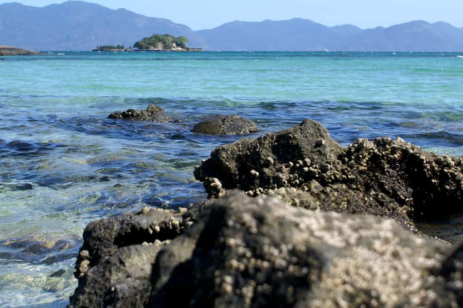 From Rio: Full-Day Angra dos Reis Cruise & Island Tour - Key things to know before you go