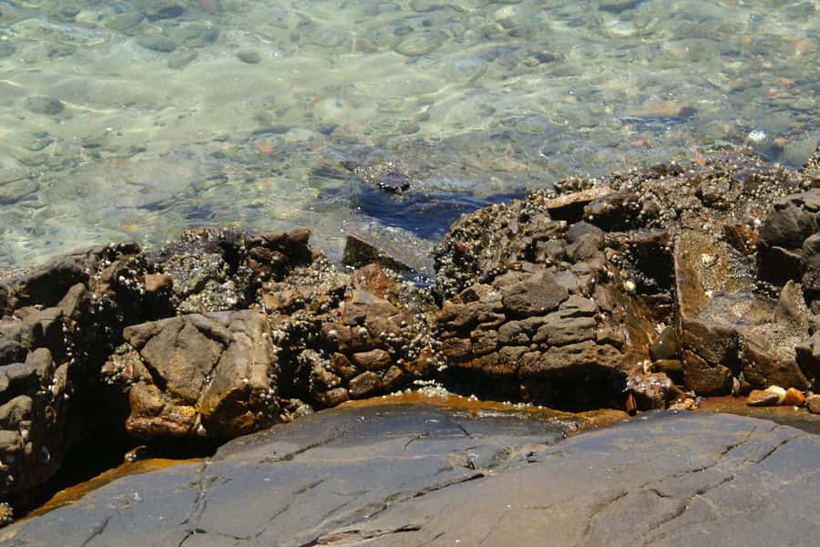 From Rio: Full-Day Angra dos Reis Cruise & Island Tour - Transfers, timing, and real-world logistics