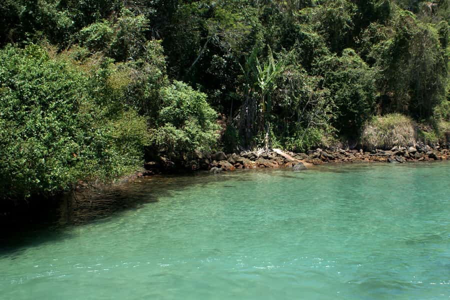 From Rio: Full-Day Angra dos Reis Cruise & Island Tour - Who this tour suits best