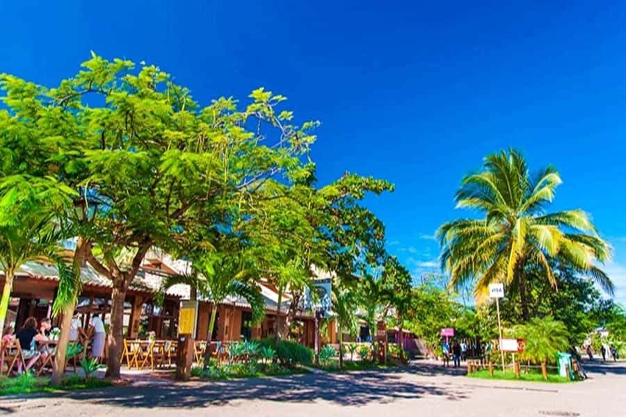 From Salvador: Praia do Forte & Guarajuba Beach Daytrip - Guide experience: flexibility, clear communication, and safe driving