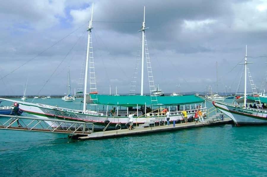 From Salvador: Schooner Tour to Frades Island - Key things to know before you go