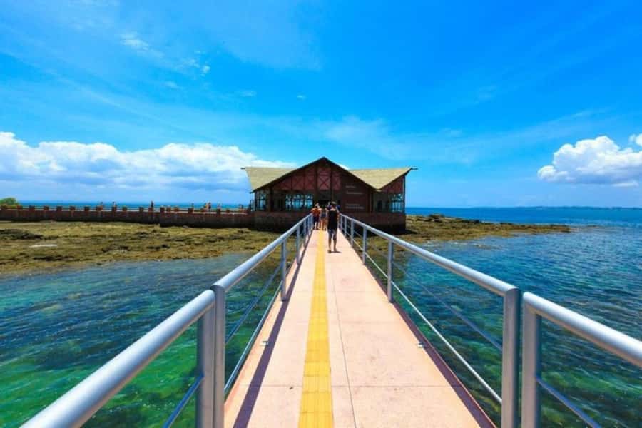 From Salvador: Schooner Tour to Frades Island - Ilha dos Frades: the real reason people book this