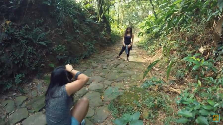From São Paulo: Private Tour of Atlantic Forest & Valleys - Should you book? My take for a smart São Paulo day